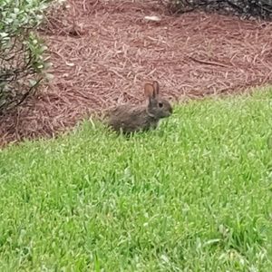 Meet your Posher, Pamela